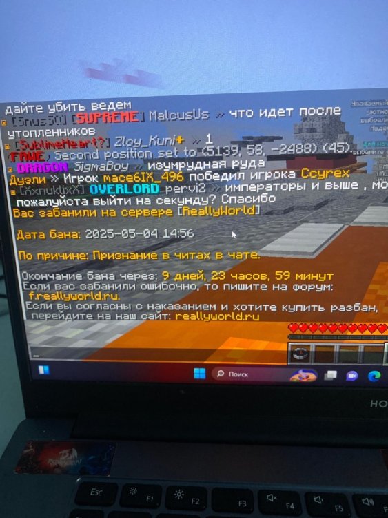 image.jpg