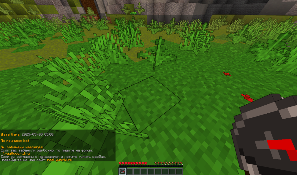 image.thumb.png.383a69d7f5207ae7ecccc19ee8004ee1.png