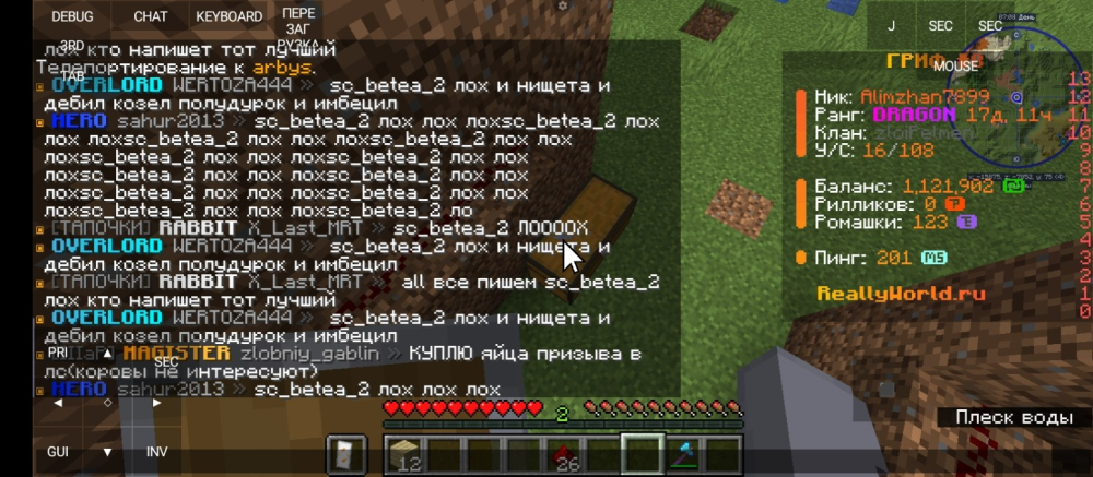 minecraft_screenshot (1).png
