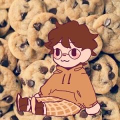 Cookie_chokolet