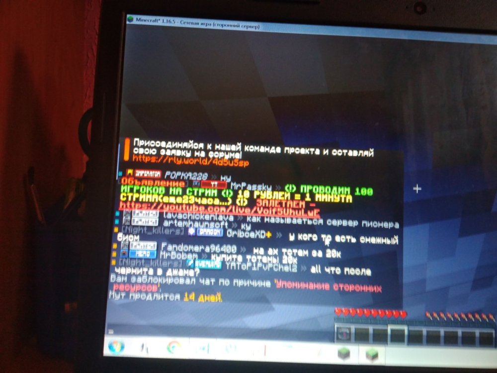 20250603_172345.jpg