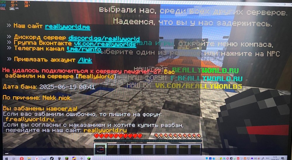 IMG_6770.jpeg