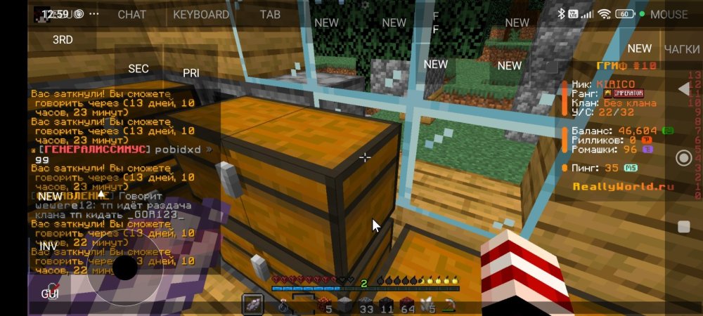 Screenshot_2025-06-12-12-59-05-421_net.kdt.pojavlaunch.jpg