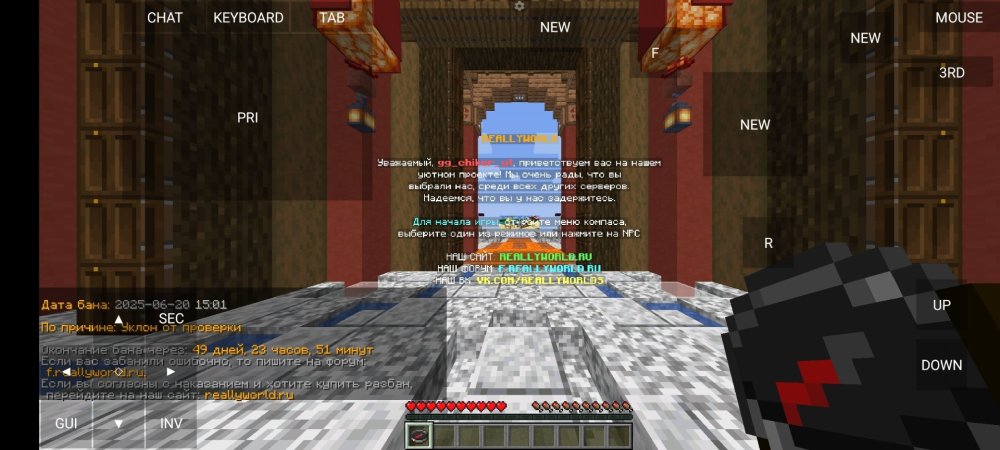 Screenshot_2025-06-20-15-09-45-029_net.kdt.pojavlaunch.debug.jpg