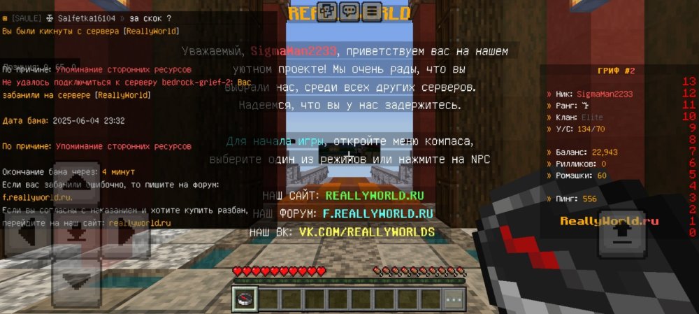 Screenshot_20250605-013331_Minecraft.jpg