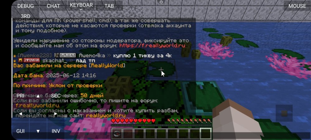 Screenshot_20250612_161915_PojavLauncher(MinecraftJavaEditionforAndroid).thumb.jpg.164309c5288cda8f71b660fe5f8b0e42.jpg