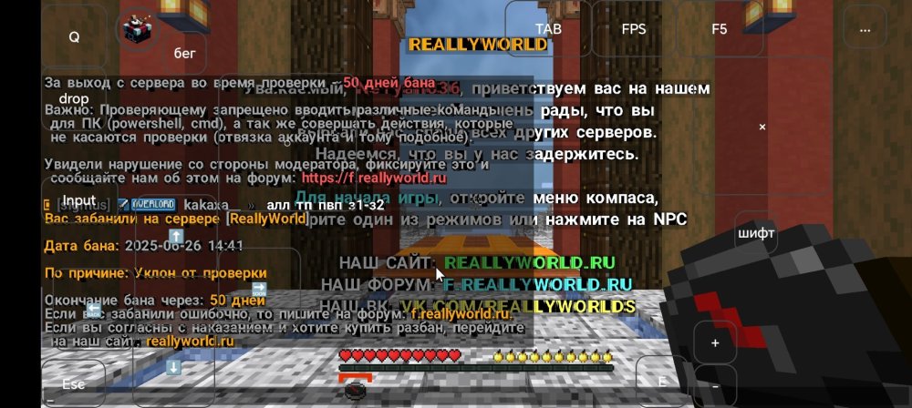 Screenshot_20250626_134132_com_tungsten_fcl_JVMActivity.jpg