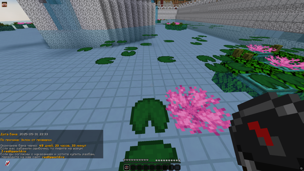image-1.thumb.png.5be02de79505882e3cadf4df2a0733b6.png