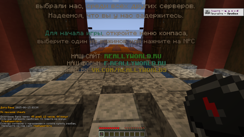 image.thumb.png.1b52822f87e6d19676a91cc0c3094923.png
