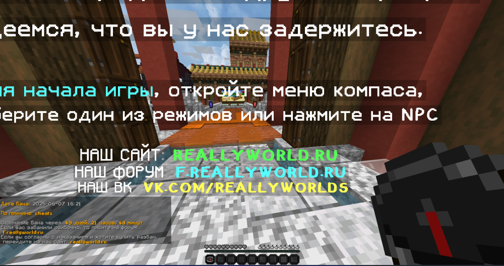 image.thumb.png.9e544cc9165a3dcdc0261aea54d19a96.png
