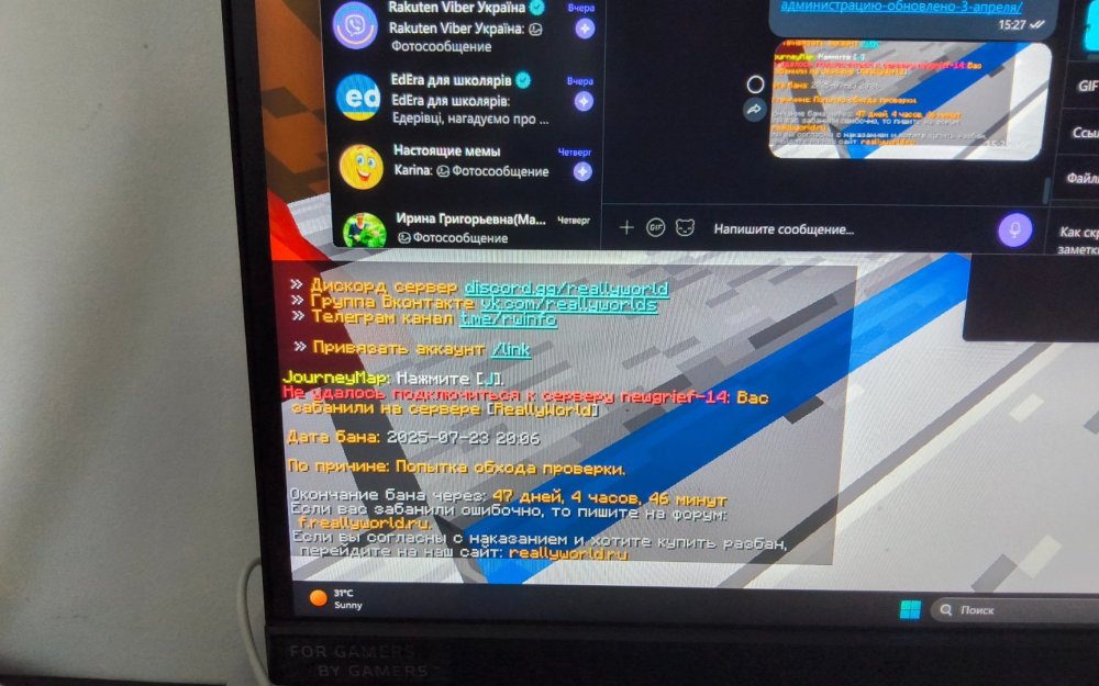 17535333568707792010413890501436.jpg