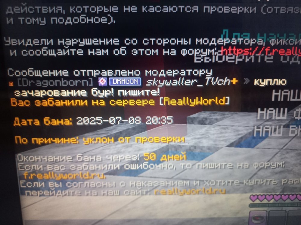 20250708_203619.jpg