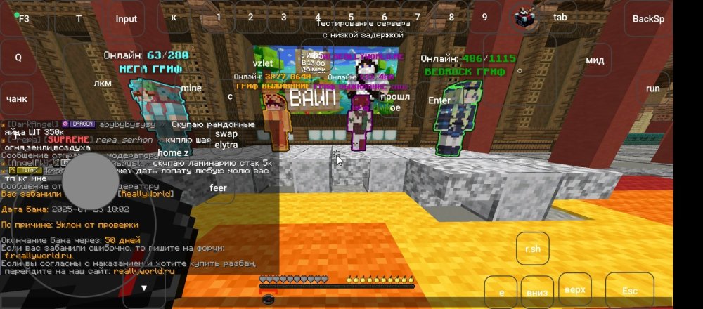 Screenshot_2025-07-25-18-03-47-541_com.tungsten.fcl.jpg