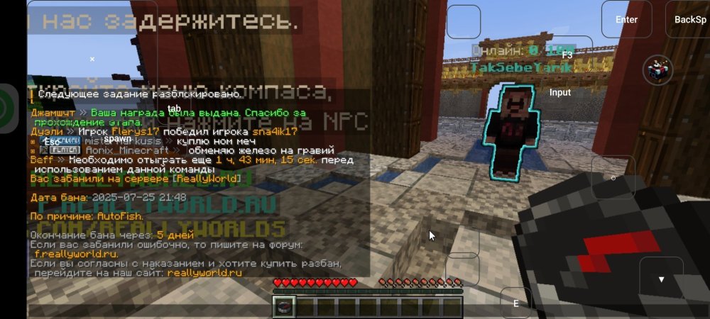 Screenshot_2025-07-25-21-49-57-249_com.tungsten.fcl.jpg