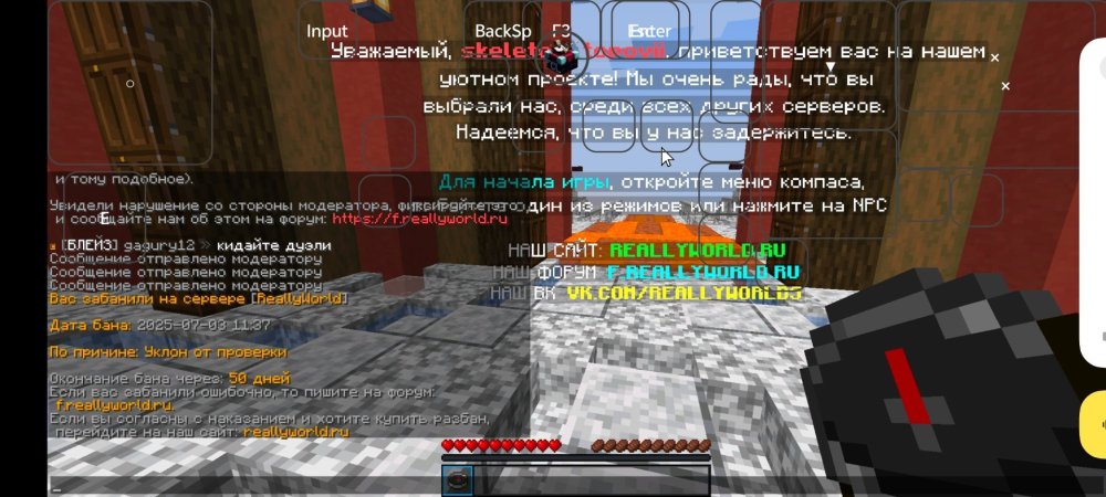 Screenshot_20250703_113832_com.tungsten.fcl.jpg