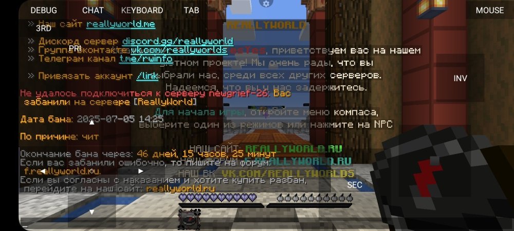 Screenshot_20250709_005931_PojavLauncher(MinecraftJavaEditionforAndroid).thumb.jpg.2d278af095a04e2c452e44a329f1e13e.jpg