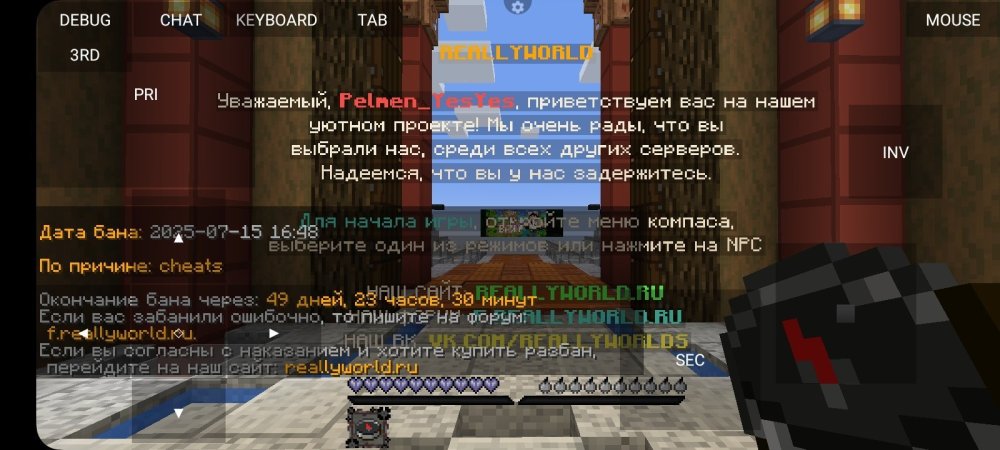 Screenshot_20250715_191807_PojavLauncher(MinecraftJavaEditionforAndroid).thumb.jpg.e1113c3543d08d13764214436ea4dd88.jpg
