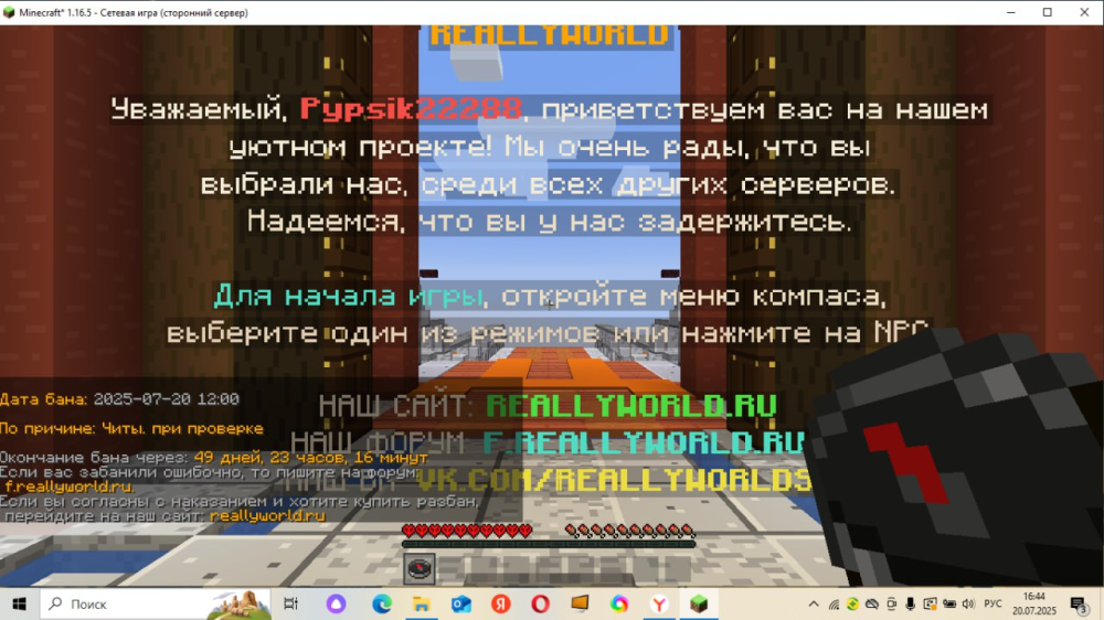 изображение_2025-07-20_164707697.png