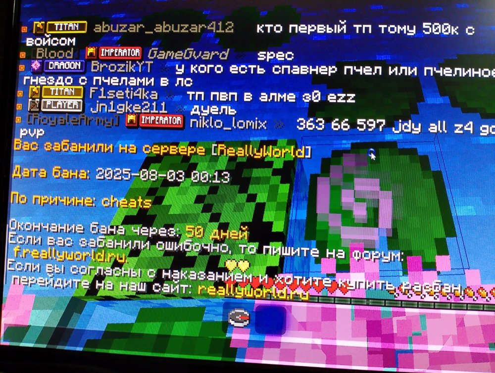 17541699457468765768628691372927.jpg