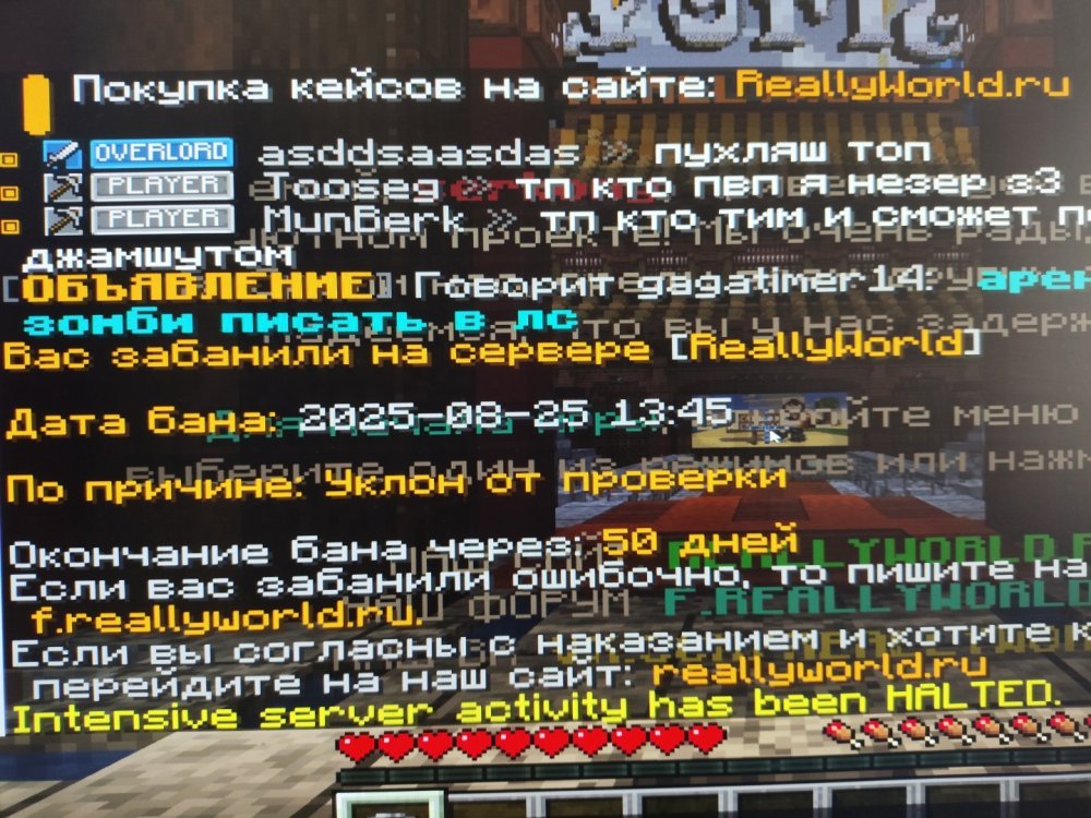 1756118761295.jpg