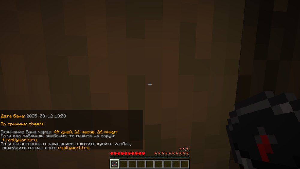 2025-08-12_19_41_29.thumb.png.dd69ebe03e6bf4fce06bce14a06563e7.png