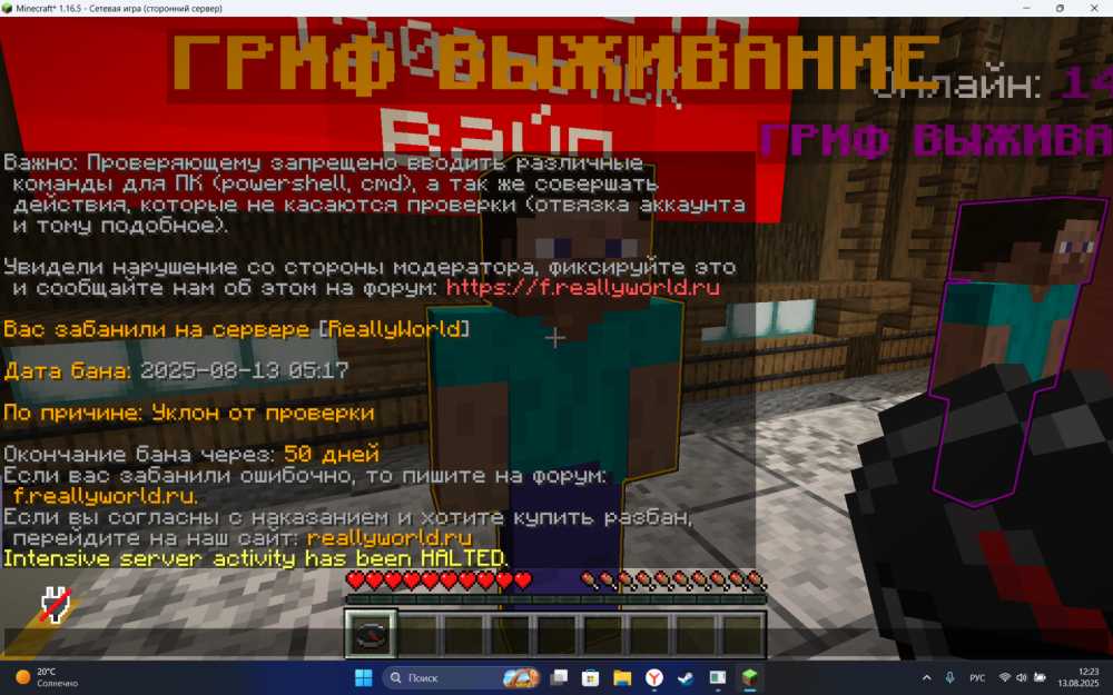 2025-08-13_12-23-22.png