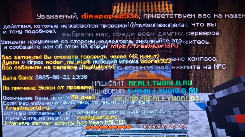20250821_135439.jpg