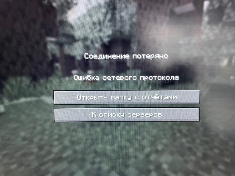 IMG_3517.jpeg
