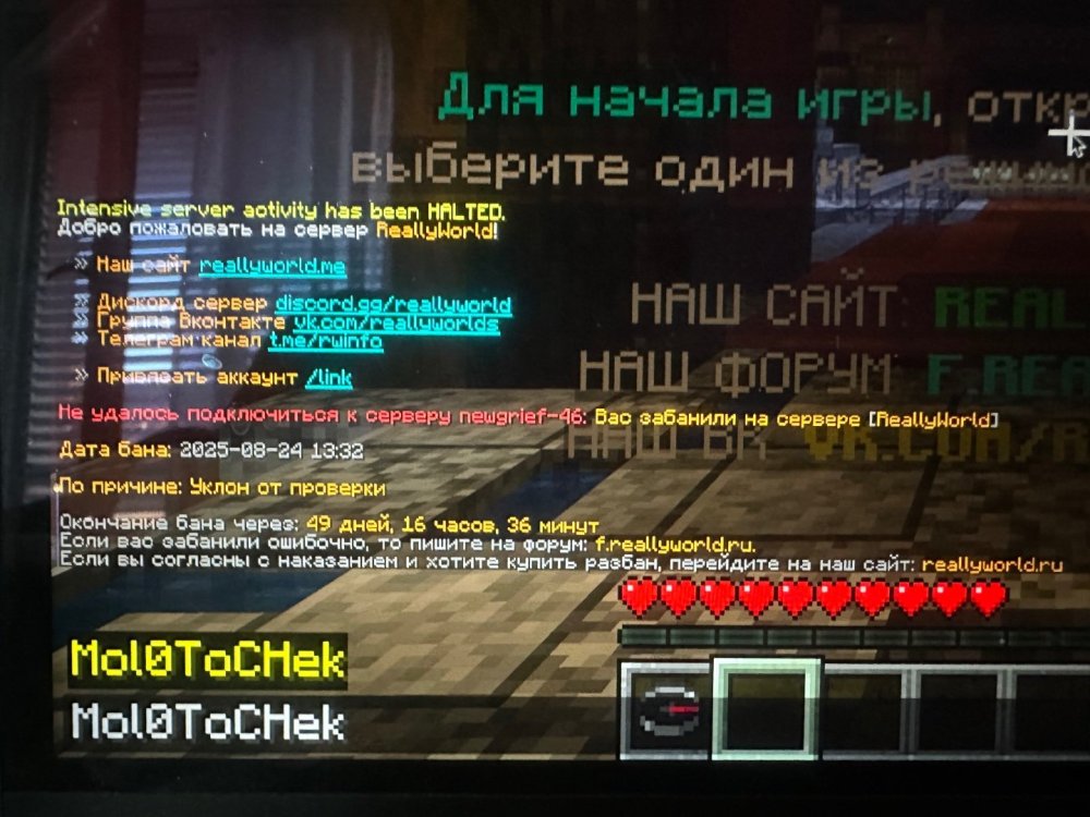 IMG_4995.jpeg