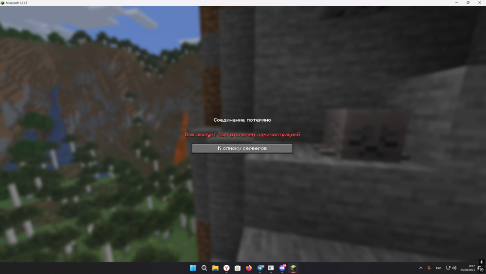 Minecraft Screenshot 2025.08.25 - 00.47.12.87.png