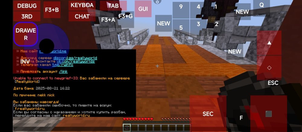 Screenshot_2025-08-21-18-27-12-199_net.kdt.pojavlaunch.debug.jpg