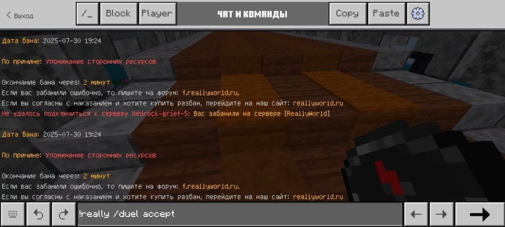 Screenshot_20250730_192829_Minecraft.thumb.jpg.c1a83a2df676a0ab32164c7c17681200.jpg