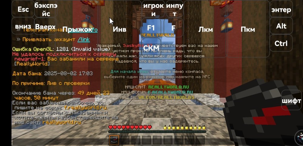 Screenshot_20250802_171400_com.tungsten.fcl.jpg