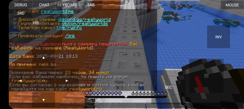 Screenshot_20250821_203955_PojavLauncher(MinecraftJavaEditionforAndroid).thumb.jpg.0b7c0c605edb24571e2e407d85665ffd.jpg