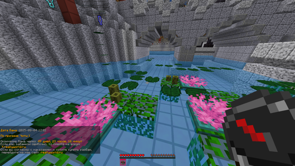 image.thumb.png.0ecbdba22cd157d16035536deb7505e5.png