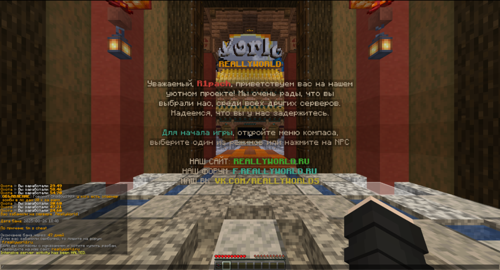 image.thumb.png.412a113d177eec1fcc29ce0dbcc9fcb9.png