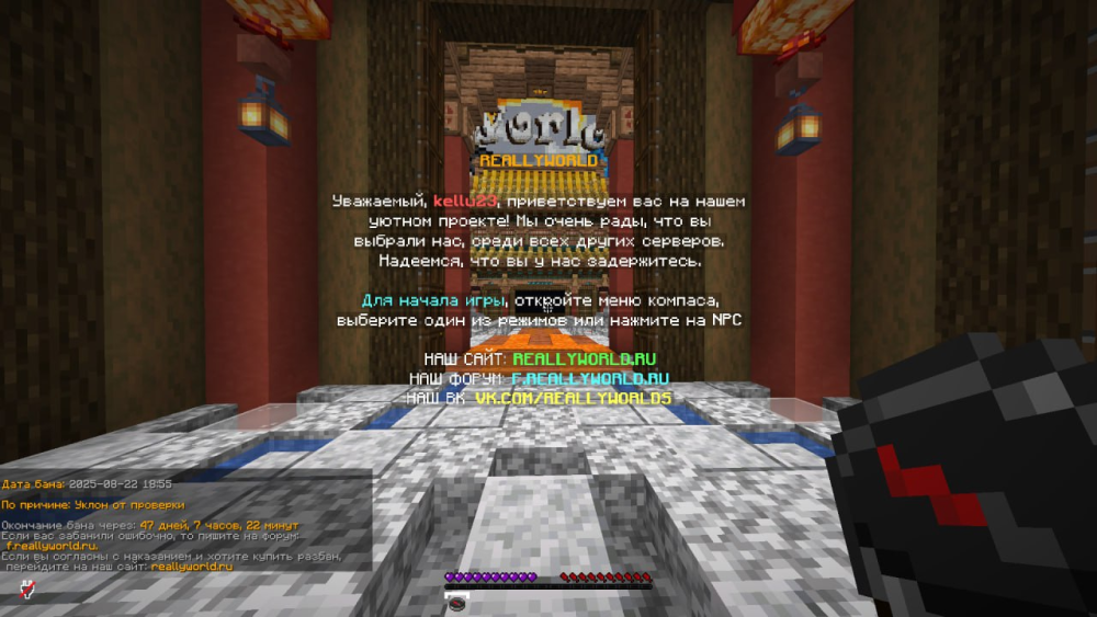 image.thumb.png.9d068e393c8e2eea37dbf9d44b1ad051.png