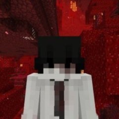 Mrwermip