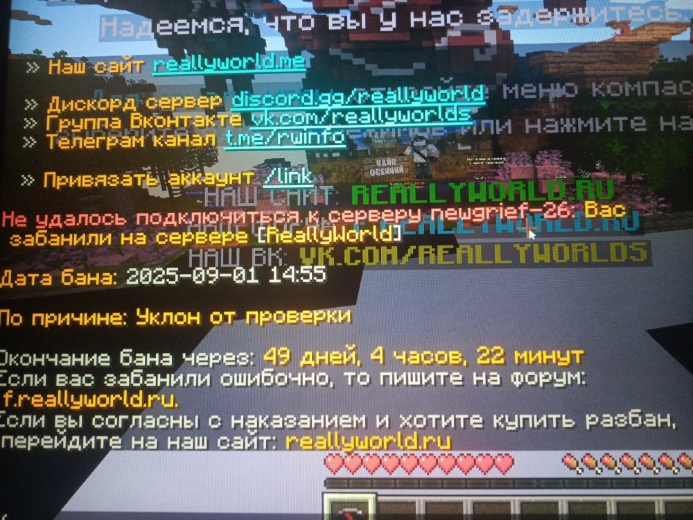 17567984523023941165865515165273.jpg