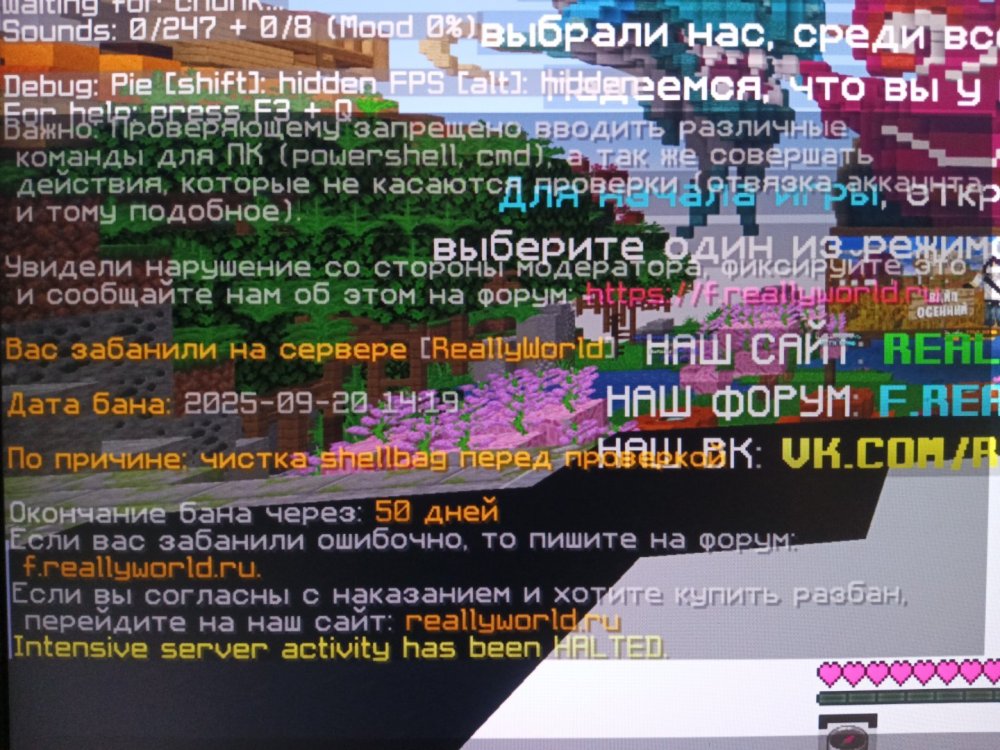 17583673522736721732897034049782.jpg