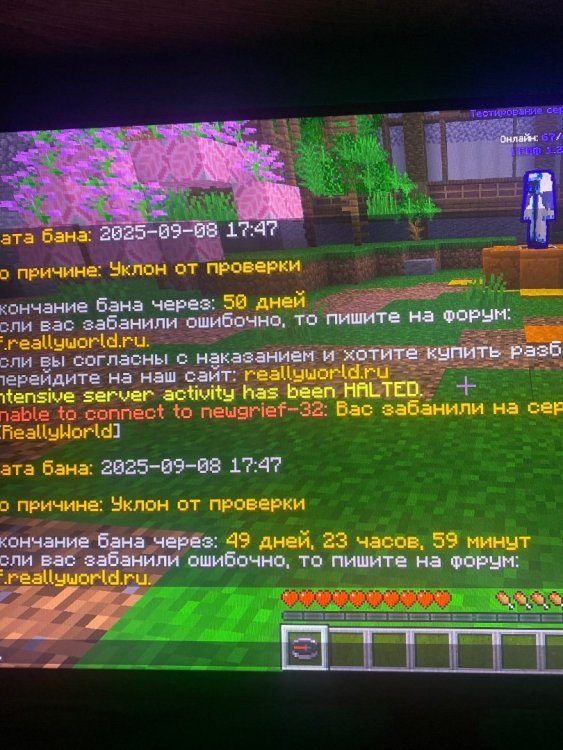 IMG_3508.thumb.jpeg.7e6e79887682cc191c0a7ee167df6235.jpeg