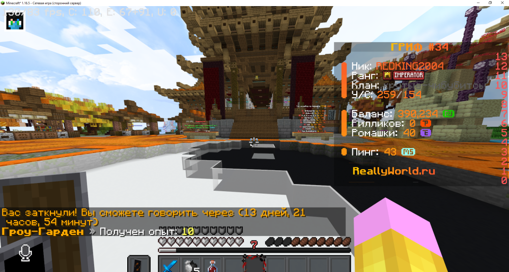 Minecraft_1_16.5-()14_09.20251_24_10.thumb.png.a88d076c3862a95e10e8d4e8edd48f91.png