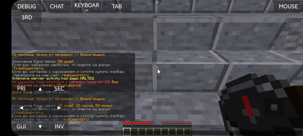 Screenshot_20250905-210929_PojavLauncher (Minecraft Java Edition for Android).jpg