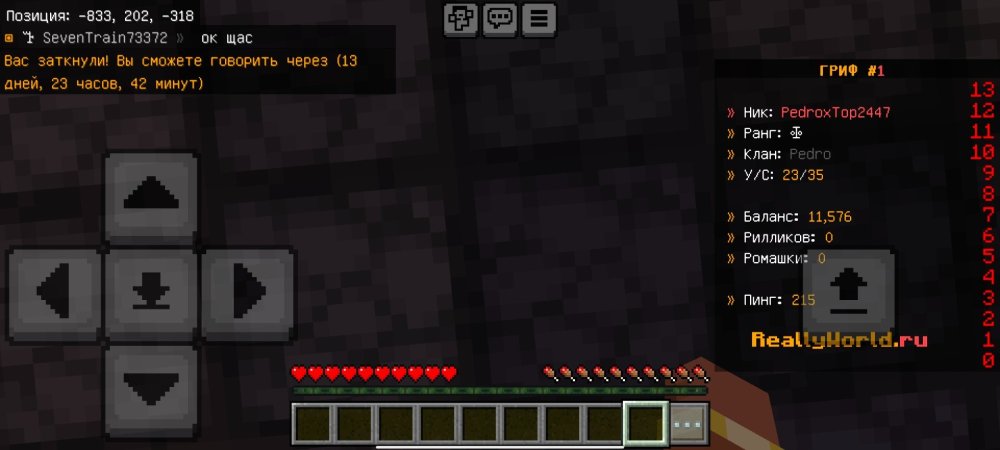 Screenshot_20250907_201104_com.mojang.minecraftpe.jpg