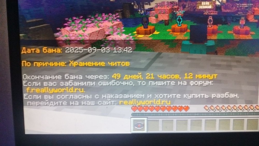 image.thumb.jpeg.bd3875951ead851569ae65bba0d4b70c.jpeg