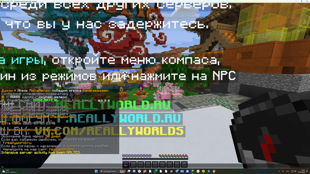 image.thumb.png.1c7ed9477875e7e9915212979f3e56f0.png