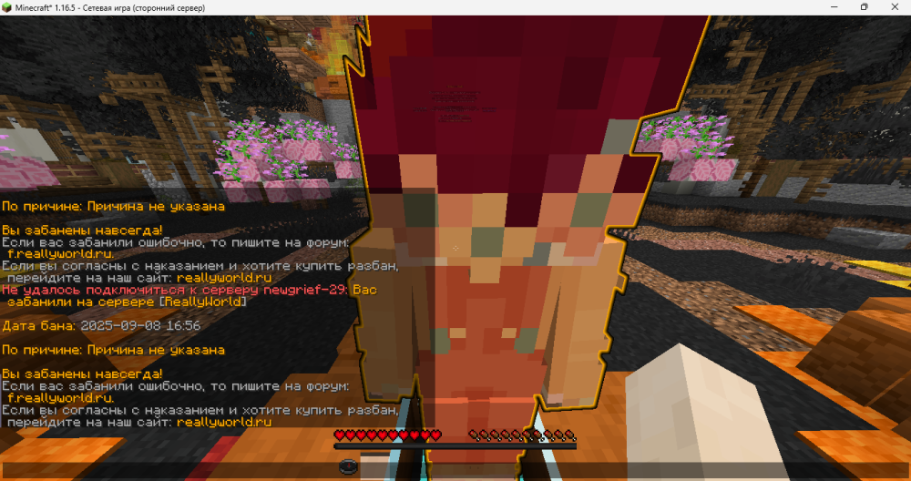 image.thumb.png.cb428e671eda11183092c5feacc19930.png