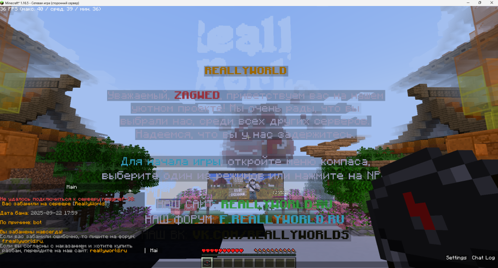 image.thumb.png.d167f0a31bd967c0fa70620aa0d46727.png