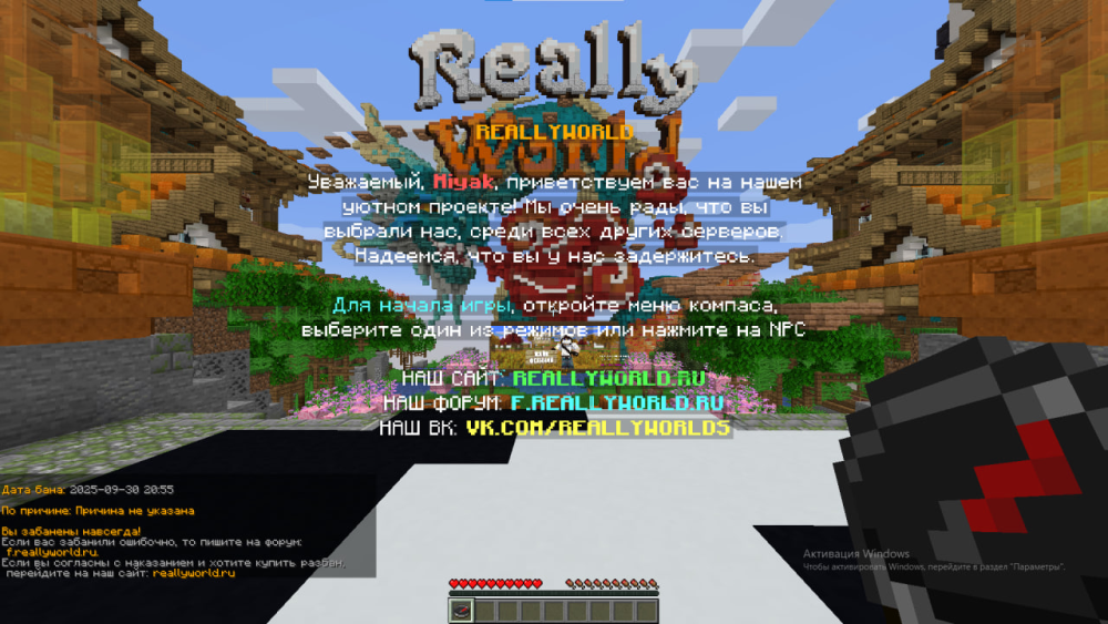 image.thumb.png.d4bb3bebdb8de42796c21748dae1e88d.png
