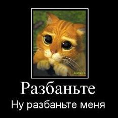 Pavel013131551